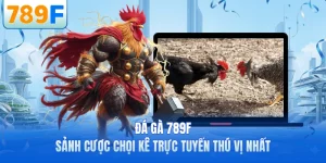 Đá Gà 789F - Sảnh Cược Chọi Kê Trực Tuyến Thú Vị Nhất